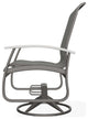 Belle Isle Sling Outdoor Swivel Rocker, Augustine Shadow/Warm Gray