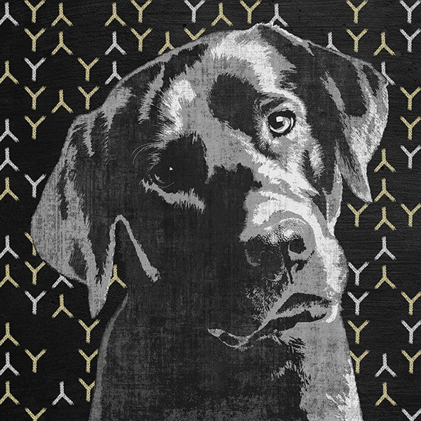 "Lab" Fine Art Giant Canvas Print, 54"x54"