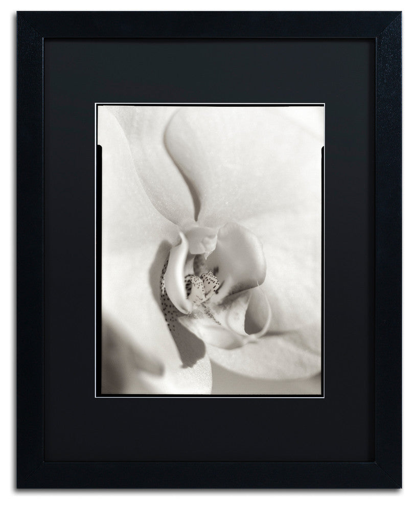 Alan Blaustein ''Florison 22'' Art, Black Frame, Black Mat, 16x20