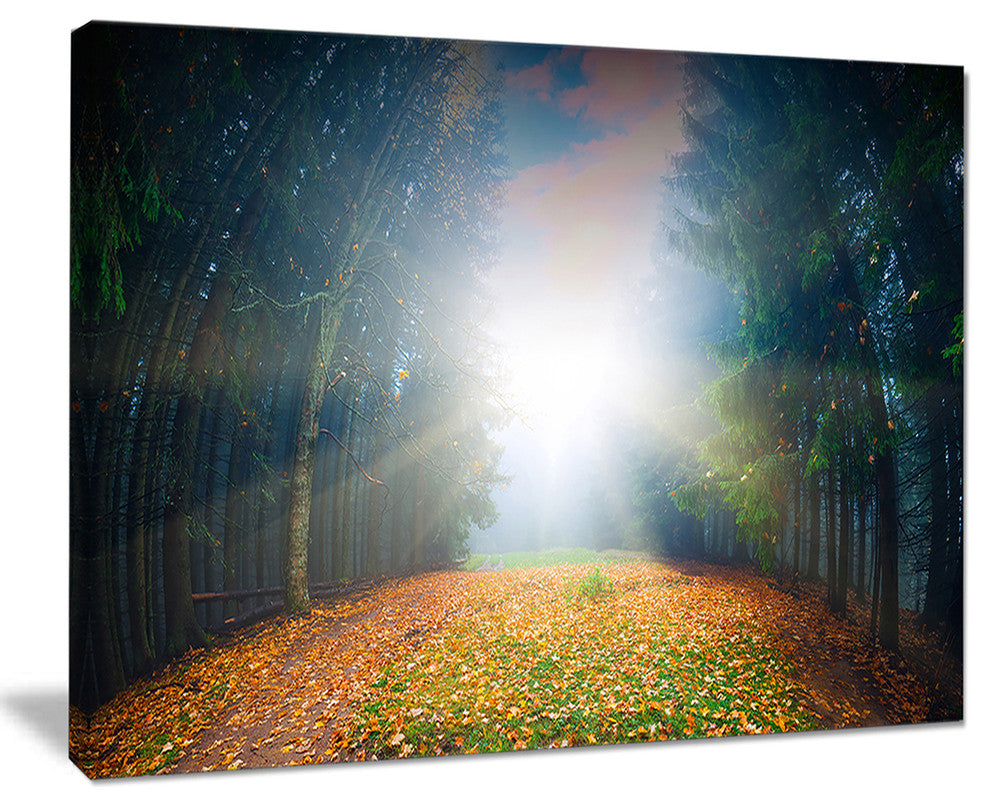 "Rising Sun Over Colorful Forest" Landscape Photo Wall Art, 20"x12"