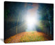 "Rising Sun Over Colorful Forest" Landscape Photo Wall Art, 20"x12"