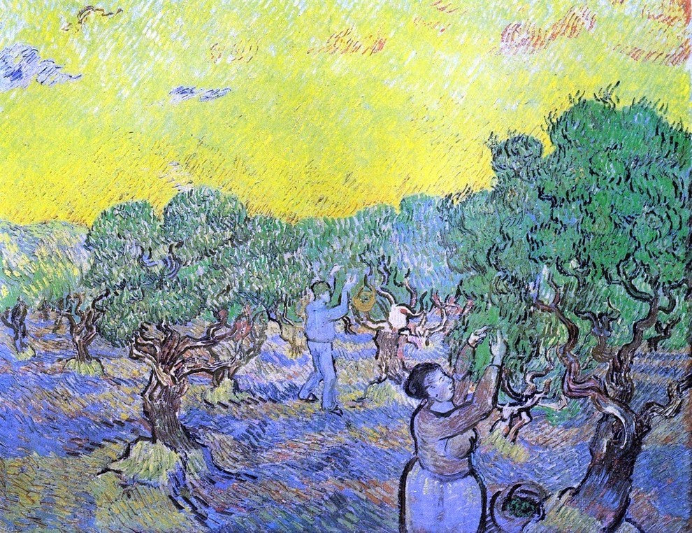 Vincent Van Gogh Olive Grove With Picking Figures Wall Decal