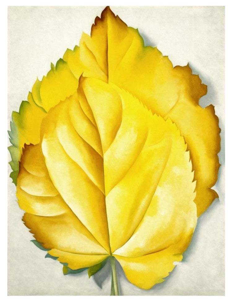 "2 Yellow Leaves (Yellow Leaves), 1928" Print by Georgia O'Keeffe, 25"x32"