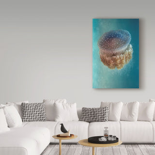 Yaron Halevy 'Jellyfish Phylorhiza' Canvas Art, 47"x30"