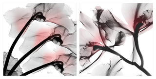"Coral Luster 1 & 2" Frameless Free Floating Panel Graphic Wall Art, 24"x24"