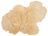 Flower Wall Art, Ivory, Large