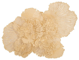 Flower Wall Art, Ivory, Large
