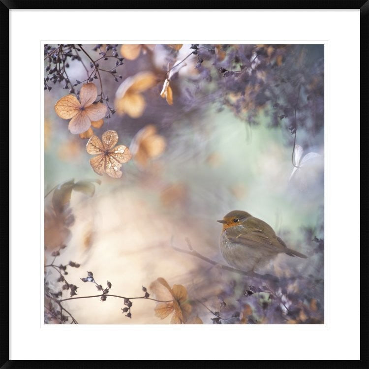 "Hydrangea Fantasy" Framed Digital Print by Teuni, 32"x32"
