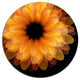 Fractal Flower Petals On Black, Floral Disc Metal Artwork, 11"