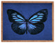 Eric Fan Papillon Rectangular Tray
