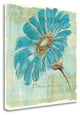 "Spa Daisies II" By Chris Paschke, Giclee Print on Gallery Wrap Canvas