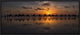 "Sunset Camel Safari" Framed Canvas Giclee by Louise Wolbers, 31x13"