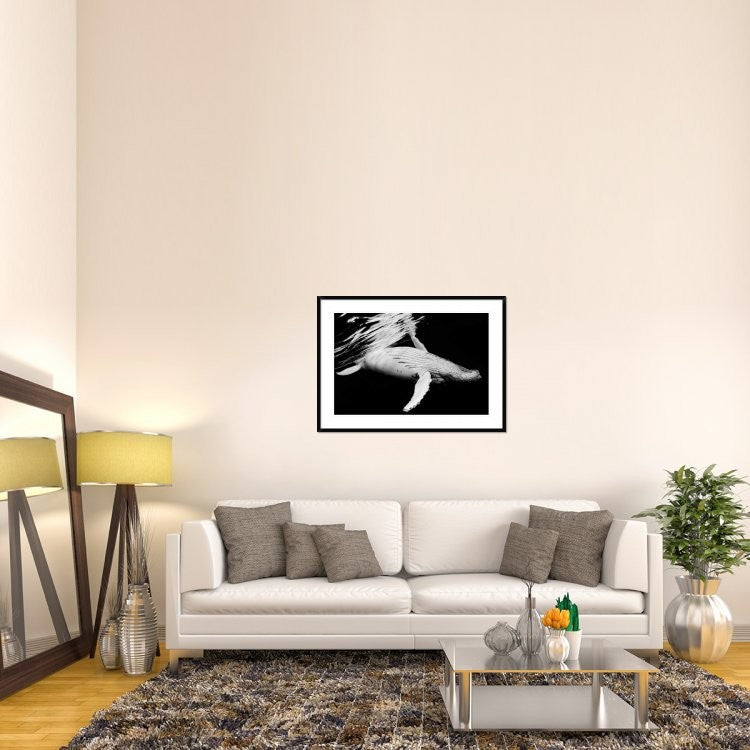 "Black and Whale" Framed Digital Print by Barathieu Gabriel, 44x32"