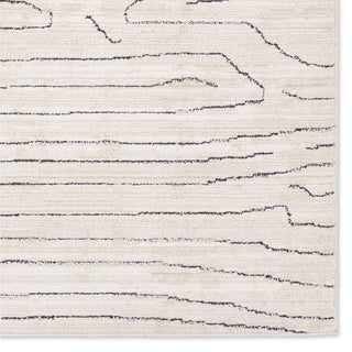 Label J Newlyn EVA01 Abstract Ivory Area Rug, 5'x8'