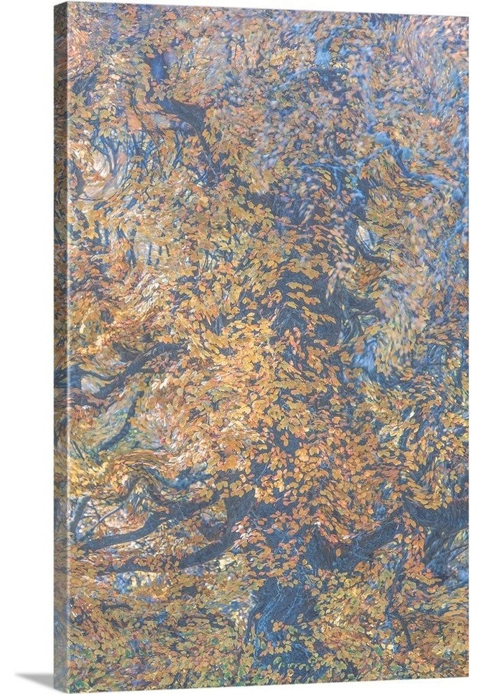 "Monets Oak" Wrapped Canvas Art Print, 32"x48"x1.5"