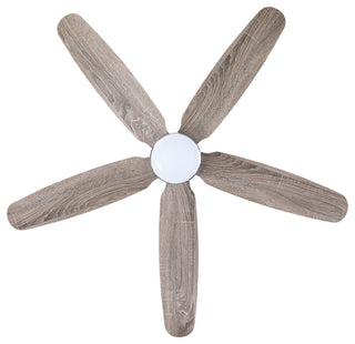 52" Indoor LED Ceiling Fan with Remote Control, Reversible Motor