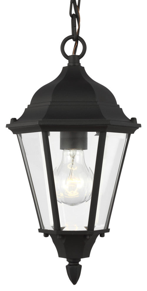 Bakersville 1-Light Outdoor Pendant, Black