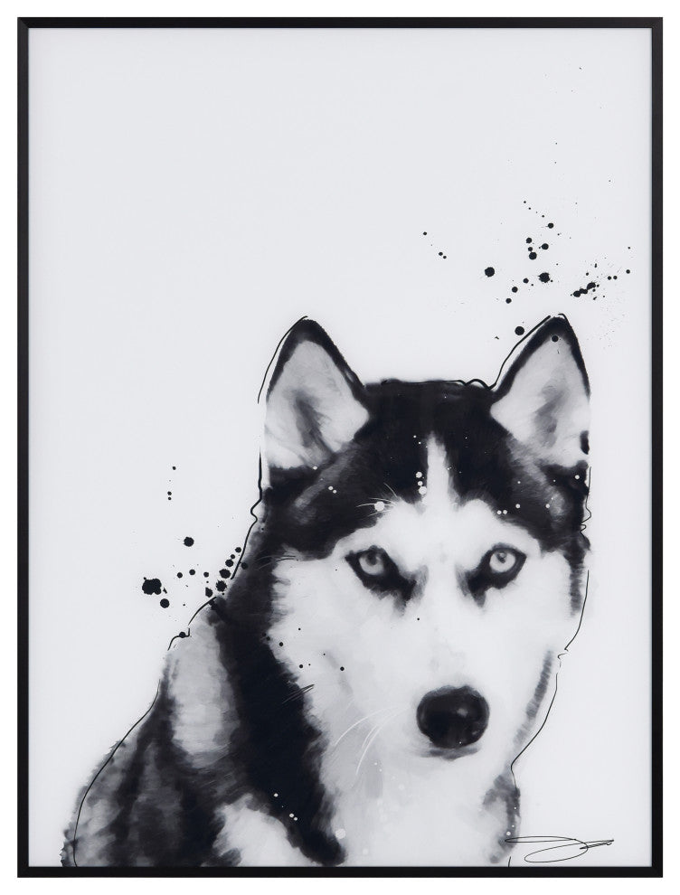 "Siberian Husky" Black and White Pet Art on Printed Glass with Anodized Frame