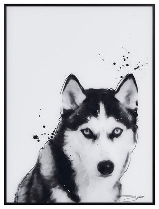 "Siberian Husky" Black and White Pet Art on Printed Glass with Anodized Frame