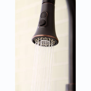 Gourmet Scape Kitchen Faucet Pull-Down Sprayer, Naples Bronze