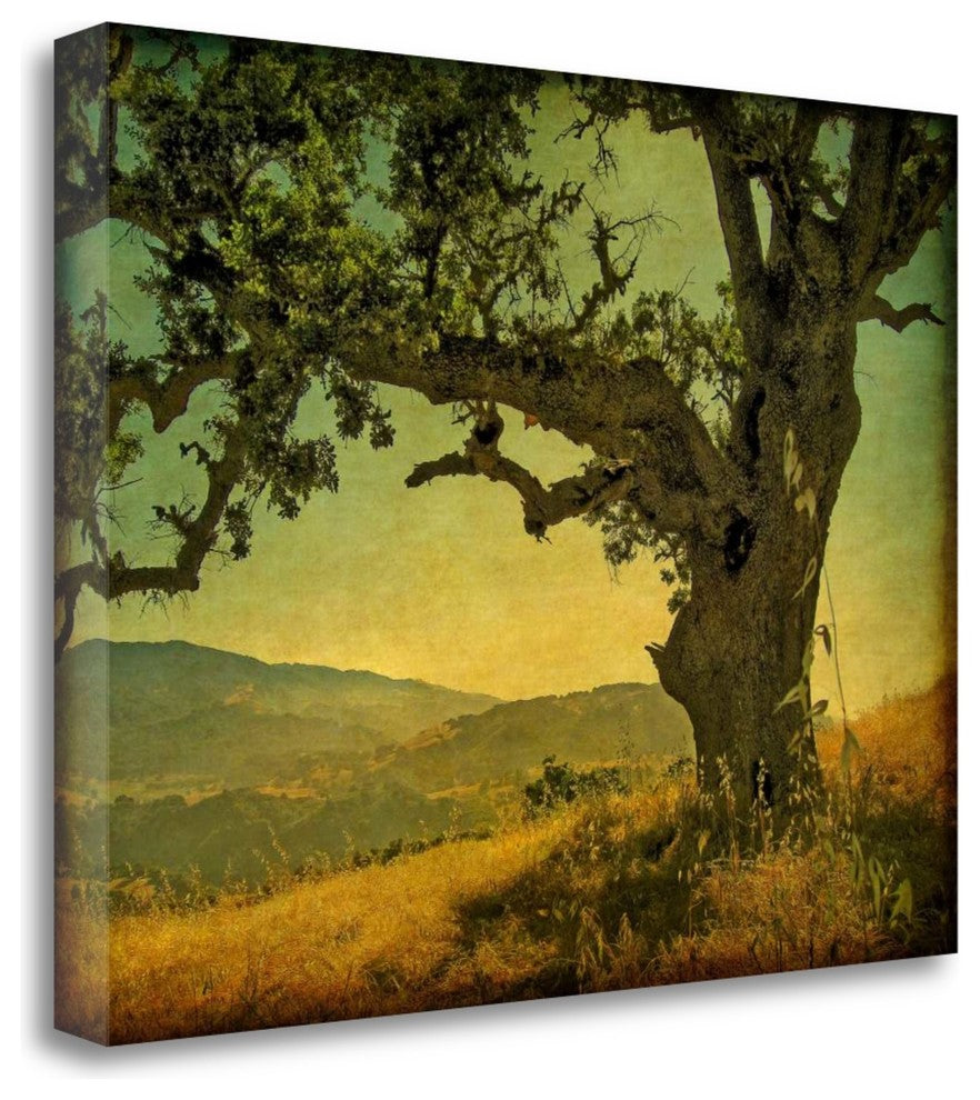 "Blue Oak Hilltop" By William Guion, Giclee Print on Gallery Wrap Canvas