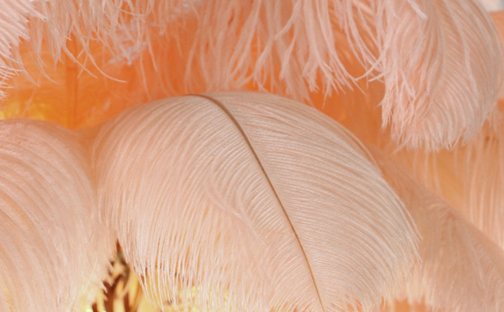 Gembloux | Pink/White Feather Round Chandelier, Pink