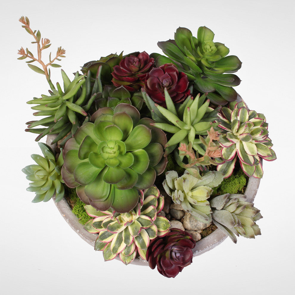 Artificial Succulent Variety With Modern Cement Round Bowl