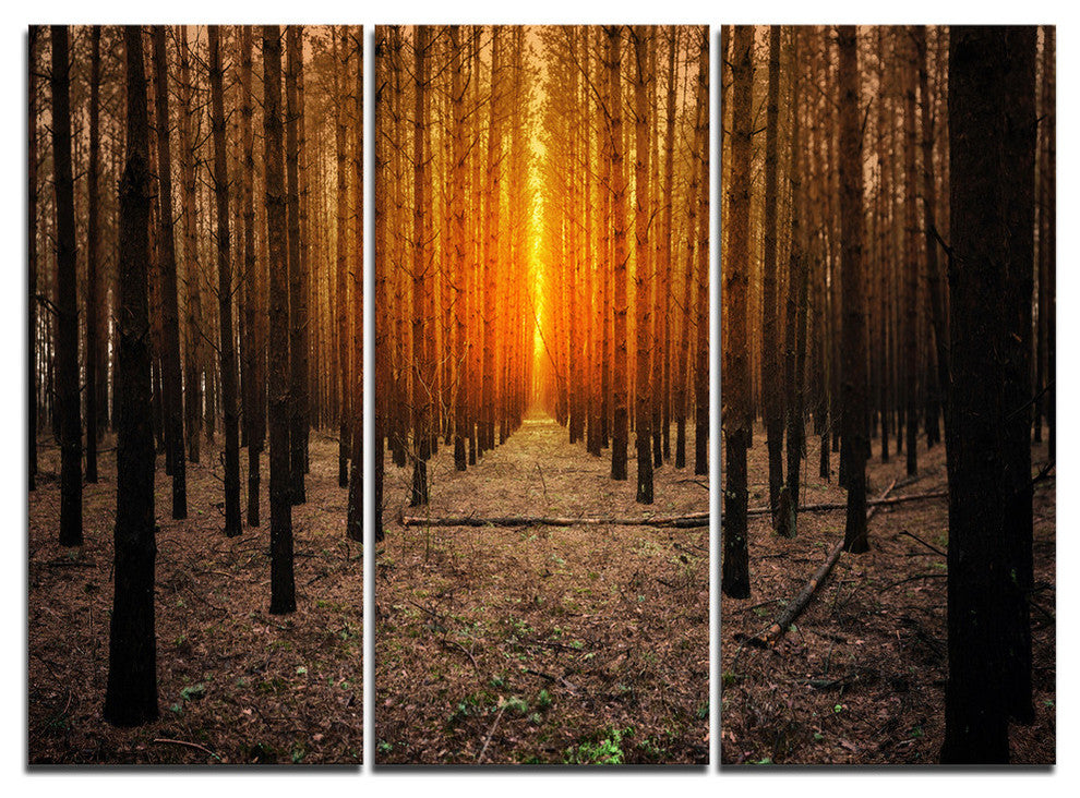 "Halloween-Themed Spooky Dark Forest" Forest Metal Wall Art, 3 Panels, 36"x28"