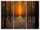 "Halloween-Themed Spooky Dark Forest" Forest Metal Wall Art, 3 Panels, 36"x28"