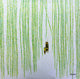"Vines" Wall Art, 40"x40"