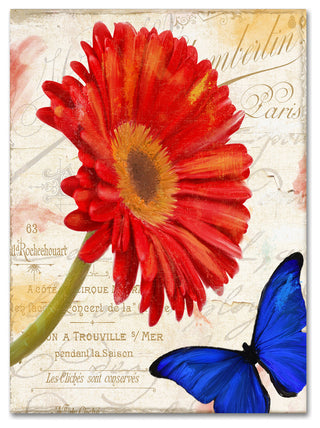 Color Bakery 'Gerbera Daisy' Canvas Art, 14"x19"