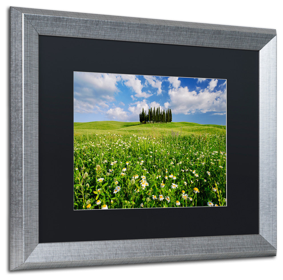 Michael Blanchette ''Cypress Hill'' Art, Silver Frame, Black Mat, 20x16
