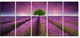 Lavender Field Sunset with Single Tree, Floral Canvas Print, 60"x28", 5 Panels