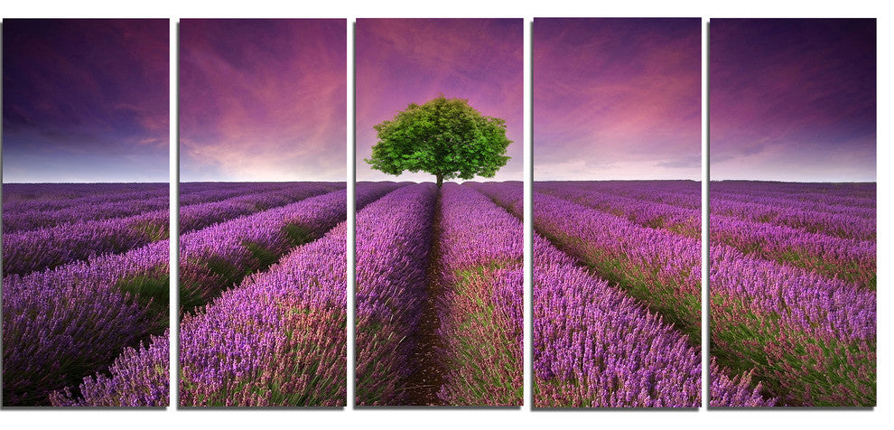 Lavender Field Sunset with Single Tree, Floral Canvas Print, 60"x28", 5 Panels