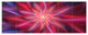Shining Red Purple Exotic Flower, Floral Canvas Art Print, 70"x28", 6 Panels