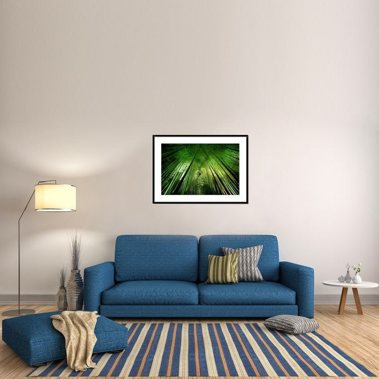 "Bamboo Night" Framed Digital Print by Takeshi Marumoto, 44x32"