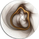 Brown Abstract Fractal Flower, Floral Digital Disc Metal Artwork, 38"