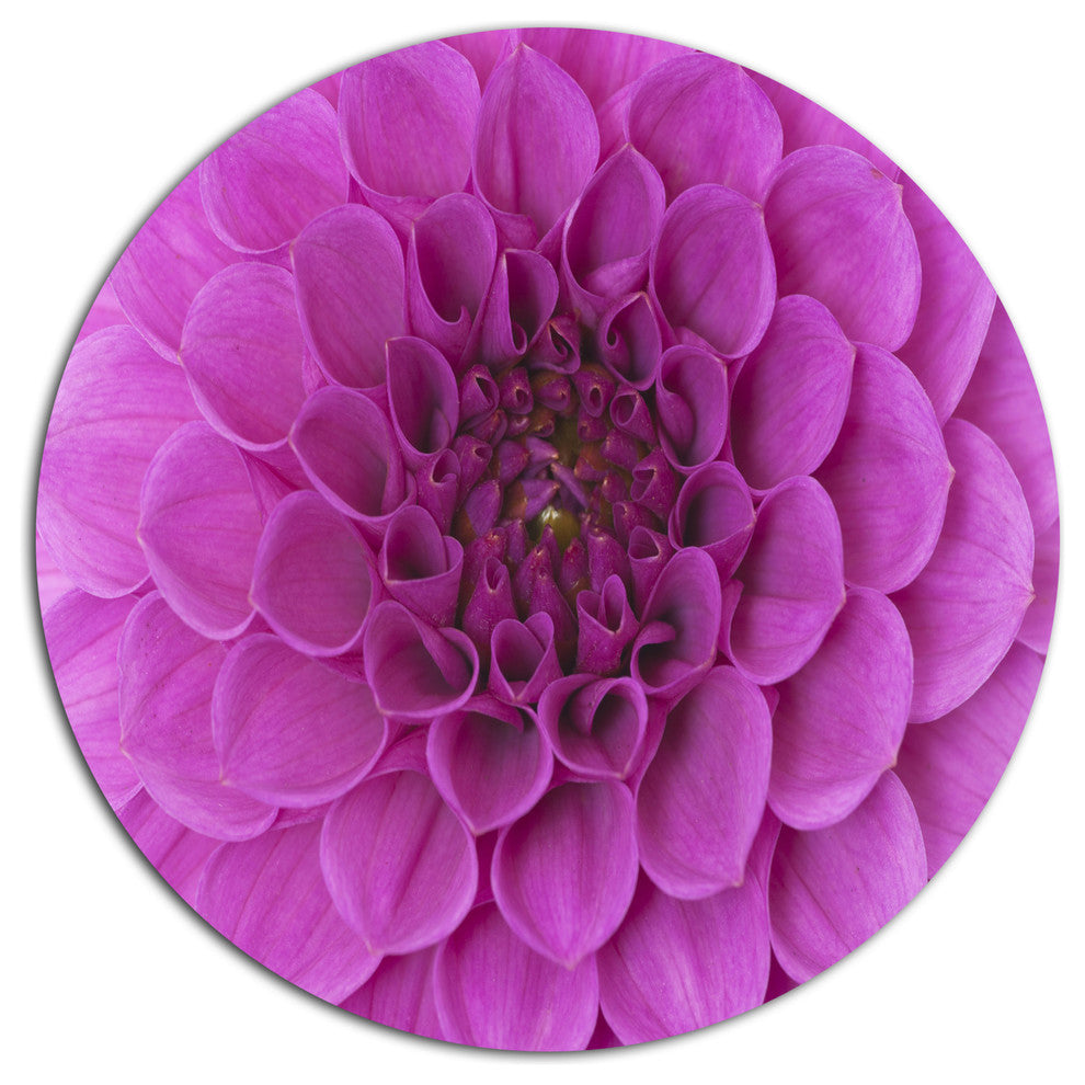 Purple Flower And Petals, Modern Flower Round Wall Art, 11"