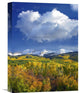 "East Beckwith Mountain Under Cumulus Clouds, Colorado" Artwork
