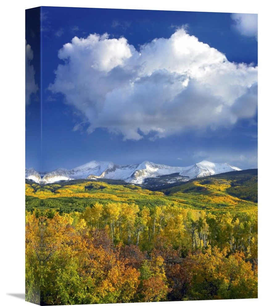 "East Beckwith Mountain Under Cumulus Clouds, Colorado" Artwork