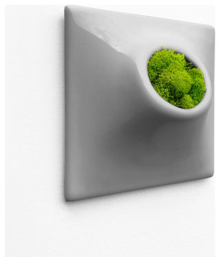 Modern Wall Planter, 6" Node, Small, Ceramic, Medium Gray