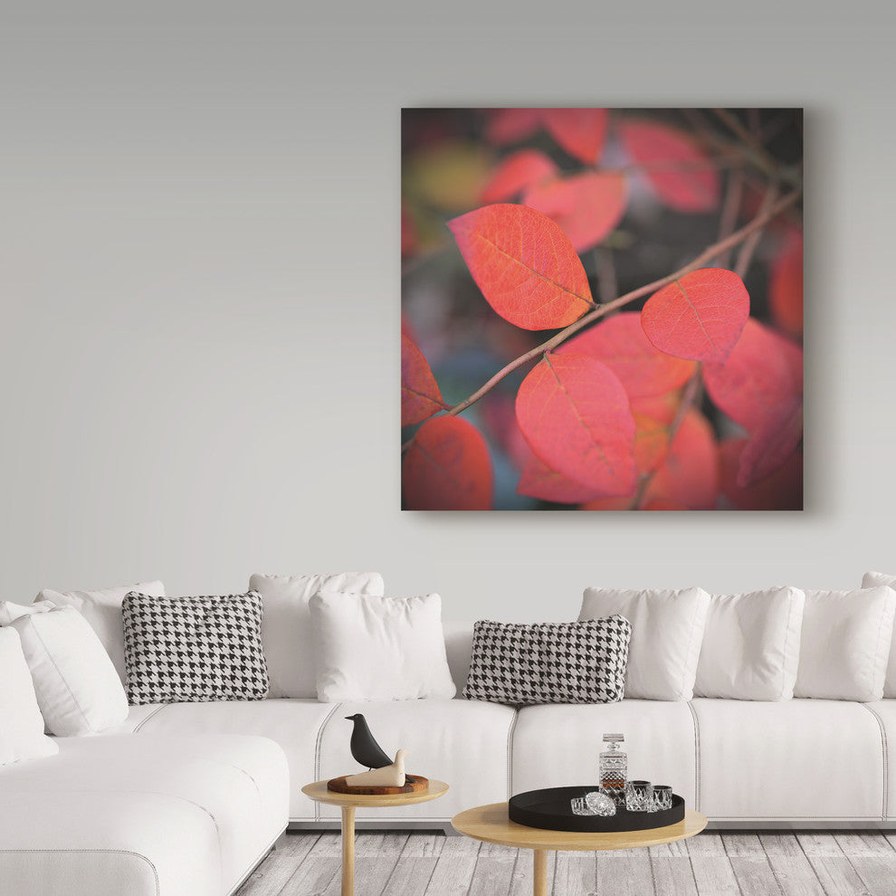 "The Flaming" by Christine Sainte-Laudy, Canvas Art