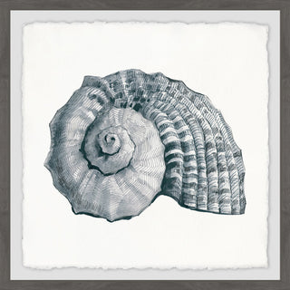 "Sturdy Shell" Framed Painting Print, 18"x18"
