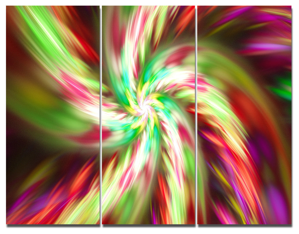 Exotic Multi Color Flower Petal Dance, Floral Canvas Art Print, 36x28, 3 Panels
