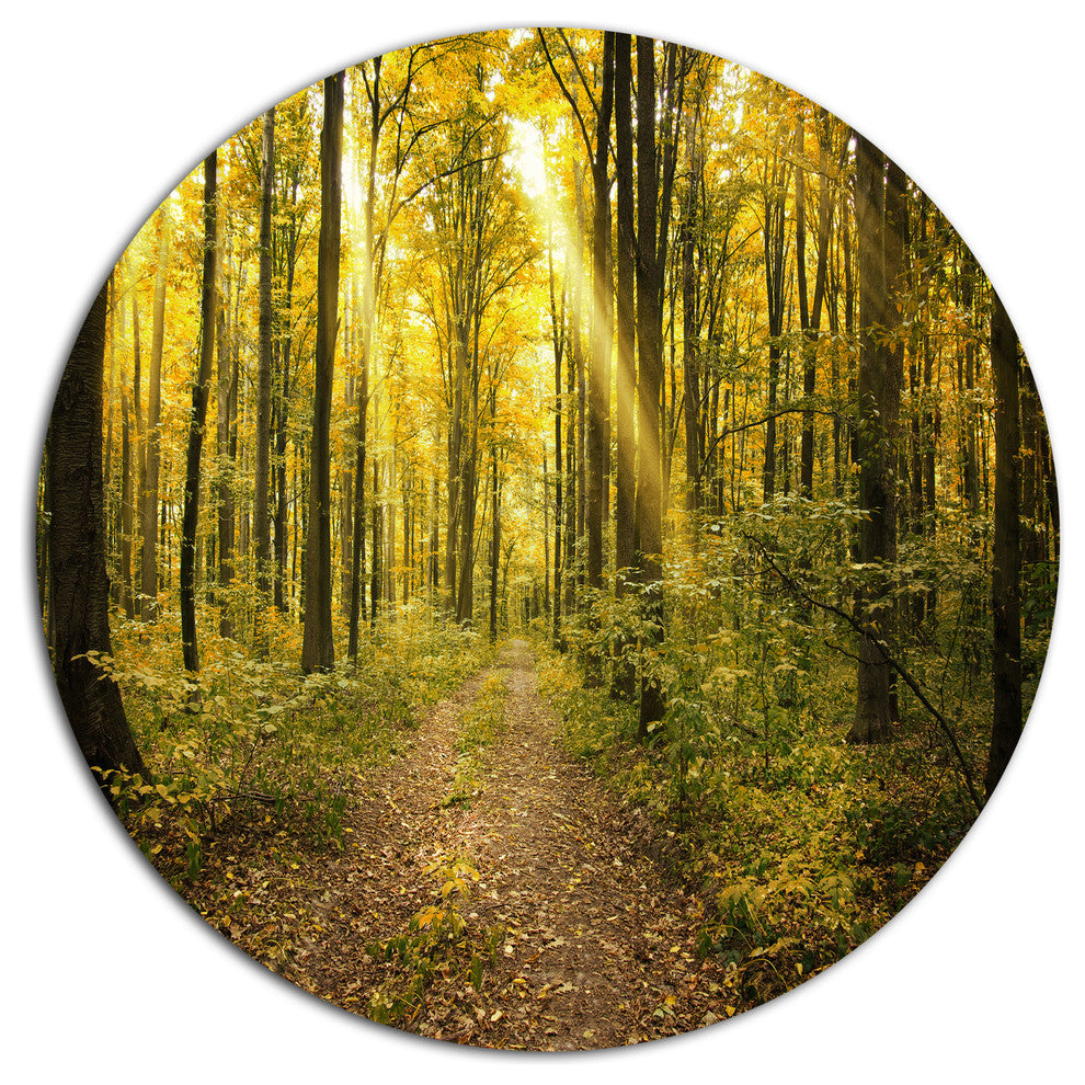 Sunset In Green Autumn Forest, Modern Forest Disc Metal Artwork, 36"