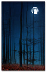 'Blue Note' Canvas Art by Philippe Sainte-Laudy