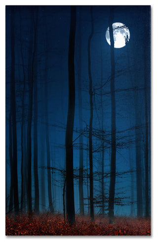 'Blue Note' Canvas Art by Philippe Sainte-Laudy
