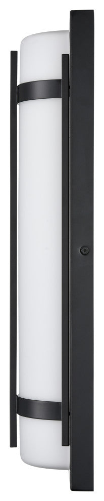LED Light 6 in. Powder Coated Black Outdoor