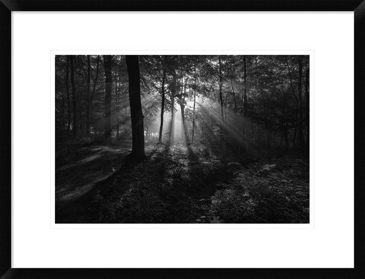 "A Sunny Morning" Framed Digital Print by Leif Londal, 26"x20"