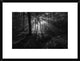 "A Sunny Morning" Framed Digital Print by Leif Londal, 26"x20"